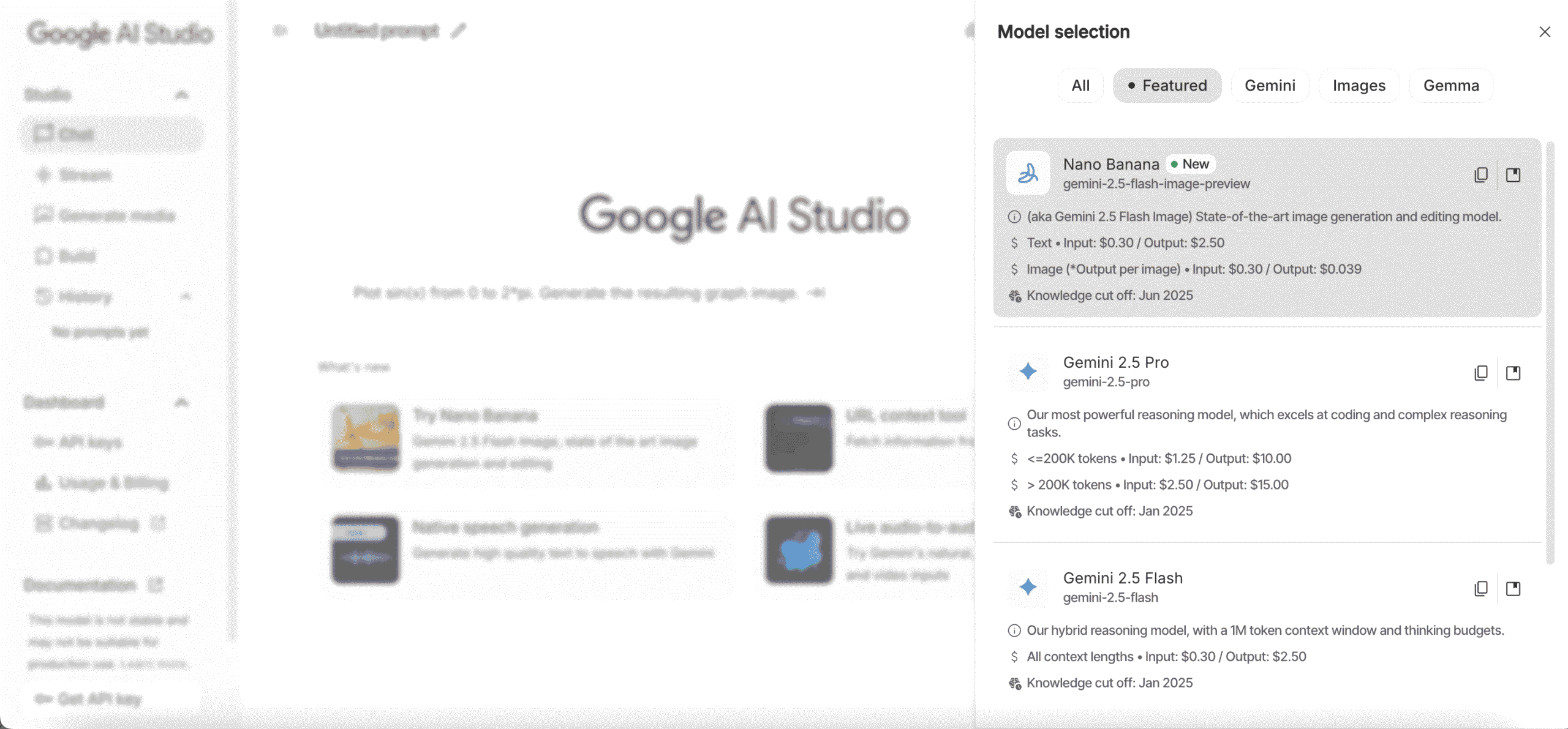 مدلهای پردازش پرامپت در Google AI Studio